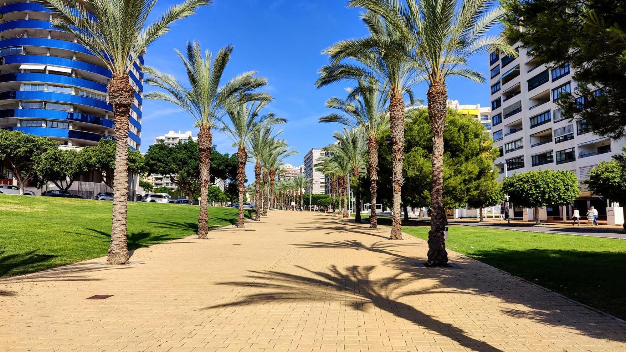 Cala Alta Relax Apartment Benidorm Eksteriør billede